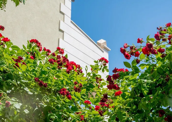 Andjelka-4 By Interhome Apartament