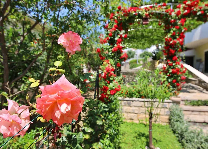 Andjelka-4 By Interhome * Trogir